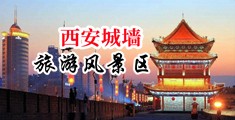 大白肥美中年骚屄中国陕西-西安城墙旅游风景区